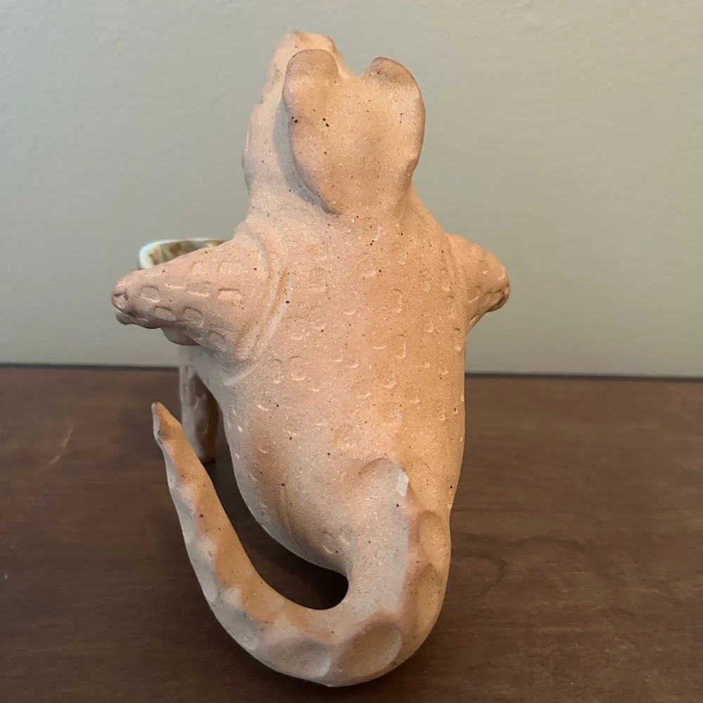 Unique Alligator Ceramic Soap Dish/Holder